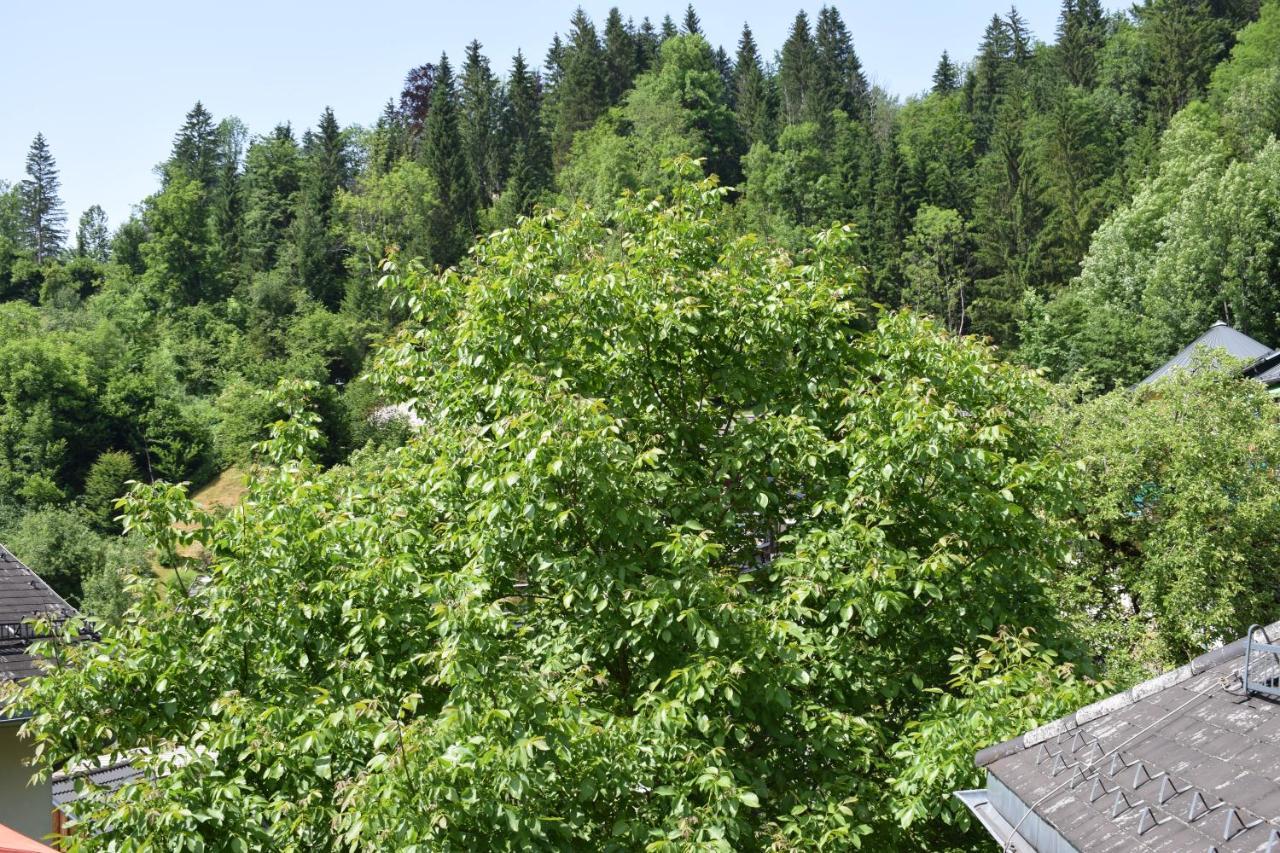 Fruehstueckspension Josefinum Bad Aussee Dış mekan fotoğraf