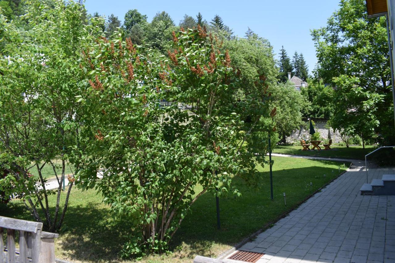 Fruehstueckspension Josefinum Bad Aussee Dış mekan fotoğraf